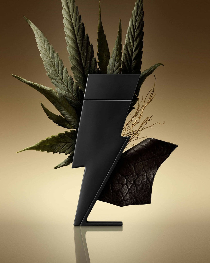 Carolina Herrera Bad Boy Le Parfum for Men – Eau de Parfum 100ml