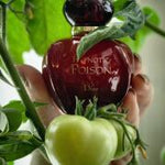 Load image into Gallery viewer, Dior Hypnotic Poison Eau de Parfum for Women – 100ml | Fast Delivery